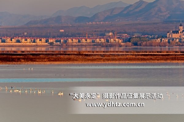 【大美永定】生態(tài)修復(fù)再現(xiàn)鳥類樂園 【大美永定】生態(tài)修復(fù)再現(xiàn)鳥類樂園