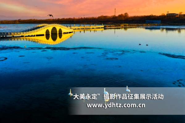 【大美永定】生態(tài)修復(fù)再現(xiàn)鳥類樂園 【大美永定】生態(tài)修復(fù)再現(xiàn)鳥類樂園