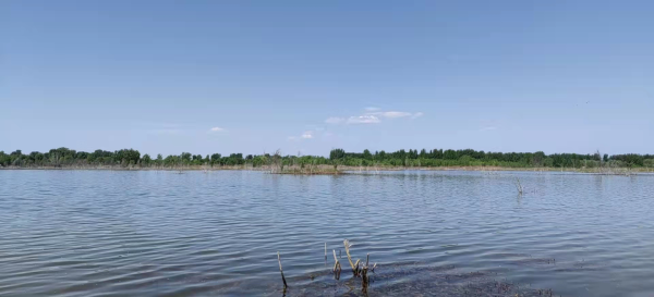 大流量生態(tài)補(bǔ)水啟動(dòng) 永定河5月再迎全線通水 大流量生態(tài)補(bǔ)水啟動(dòng) 永定河5月再迎全線通水