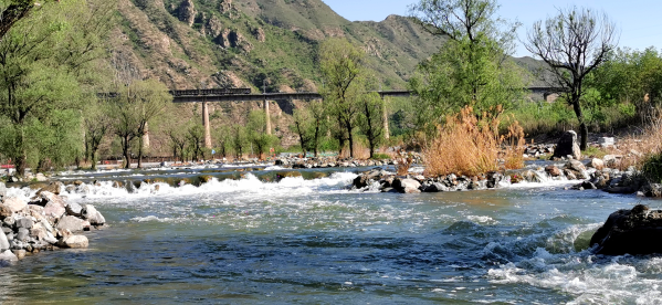 大流量生態(tài)補(bǔ)水啟動(dòng) 永定河5月再迎全線通水 大流量生態(tài)補(bǔ)水啟動(dòng) 永定河5月再迎全線通水