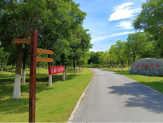天津市東麗郊野公園PPP項目順利通過 天津市東麗郊野公園PPP項目順利通過