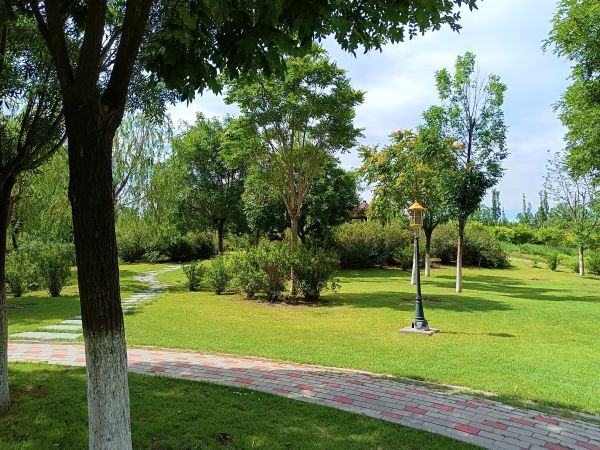天津市東麗郊野公園PPP項目順利通過2022年上半年運維績效考核 天津市東麗郊野公園PPP項目順利通過2022年上半年運維績效考核