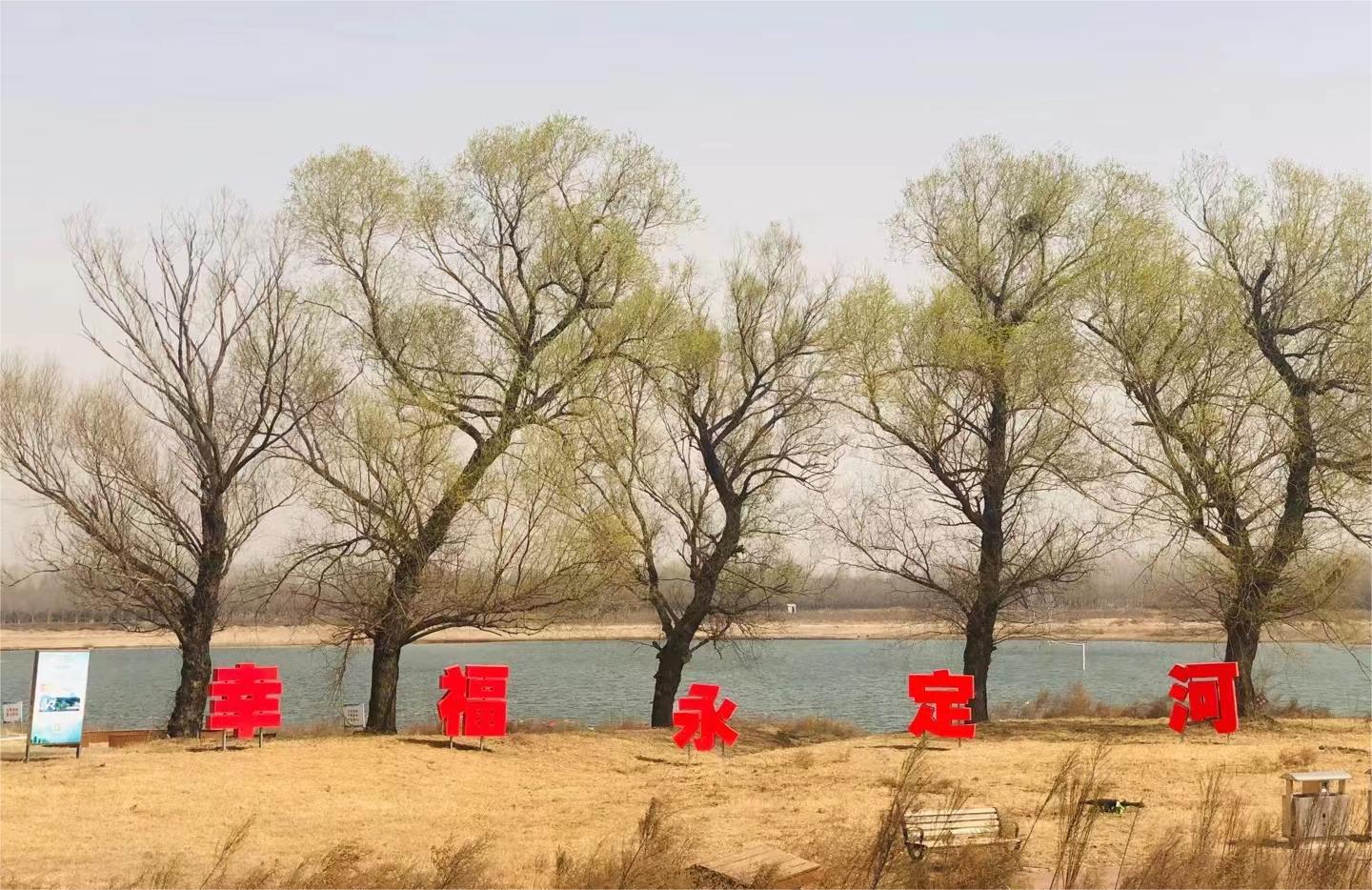 永定春來早 園林養(yǎng)護(hù)忙 永定春來早 園林養(yǎng)護(hù)忙